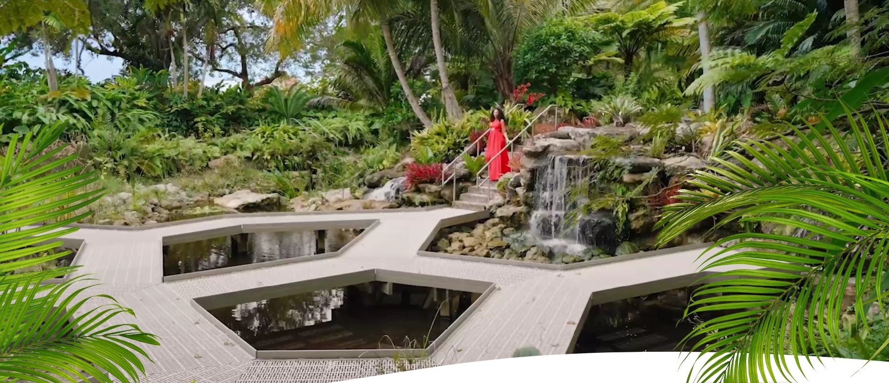 The Palm Beaches Collection